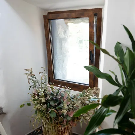 Casa vacanze Il Viterbino 2